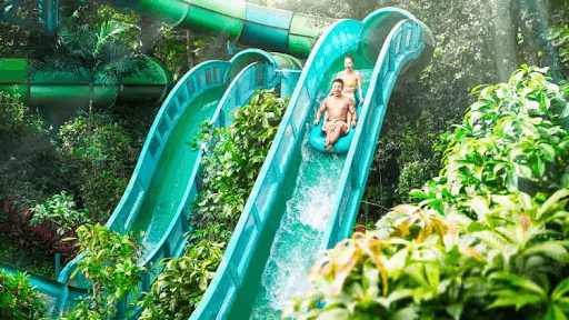 Adventure Cove Water Park in Singapore
