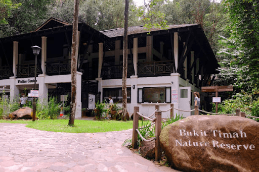 Bukit Timah Nature Reserve in Singapore