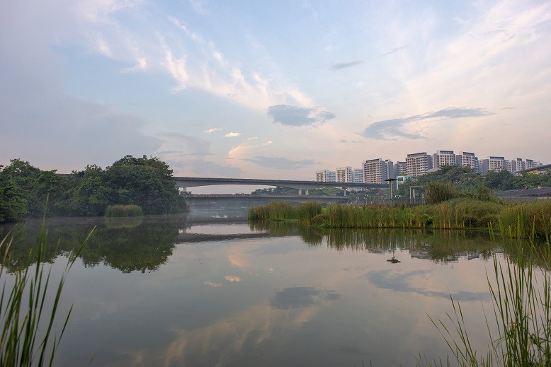 Sengkang Floating Wetland in Singapore