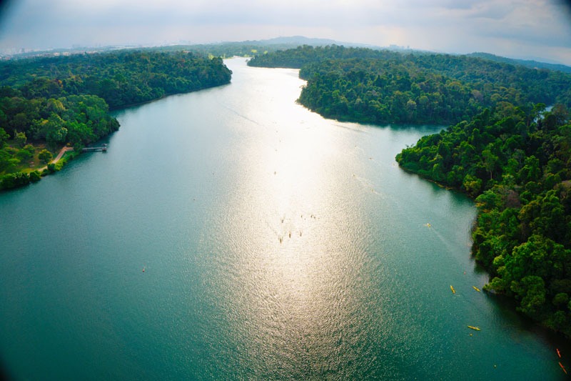 Macritchie Reservoir Park Singapore