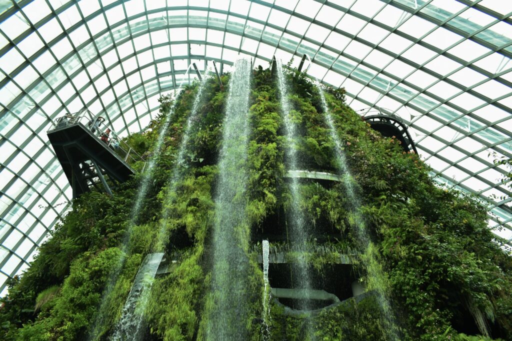 gardens-by-the-bay cloud forest