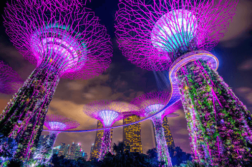 Gardens by the Bay in Singapore