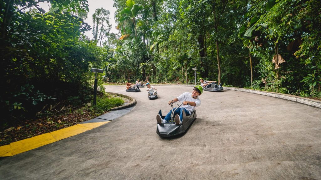 Skyline Luge Singapore