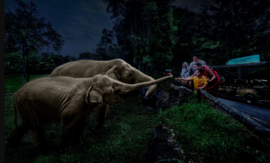 night safari closeup