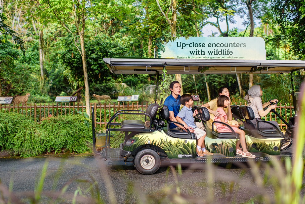 singapore zoo